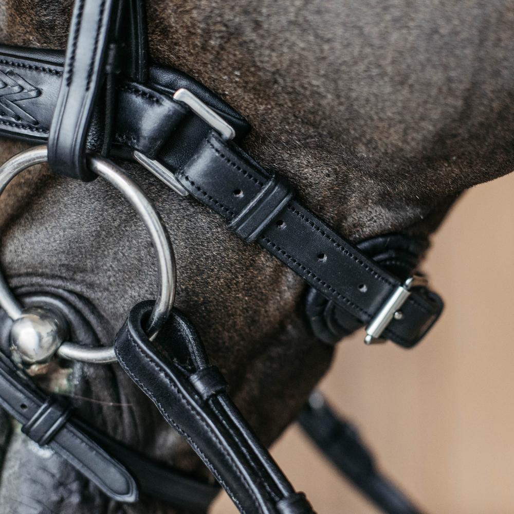 Plaited Medium Noseband with Pull-back | Dy'on |