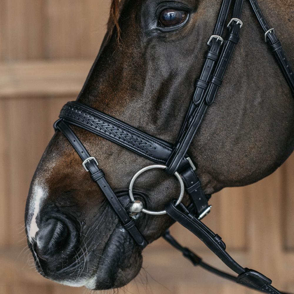 Plaited Medium Noseband with Pull-back | Dy'on | — Image 2