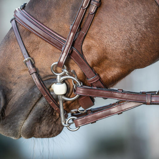1/2" Converter Rubber Reins With 7 Leather Loops | Dy'on |