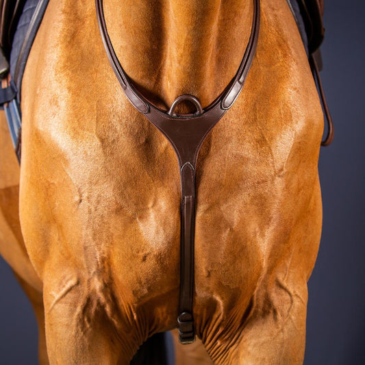 Bridge Breastplate | Dy'on | AdjustableFit — Image 2
