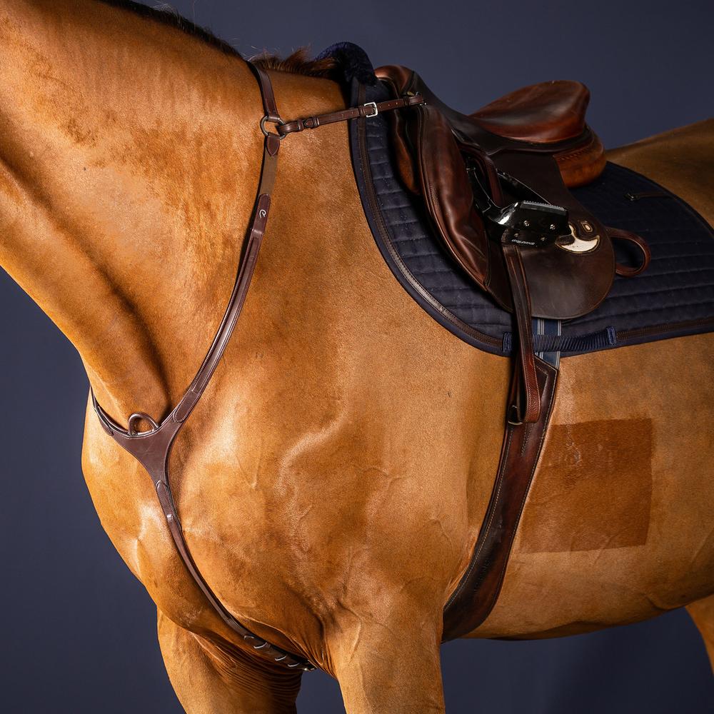 Bridge Breastplate | Dy'on | AdjustableFit — Image 3