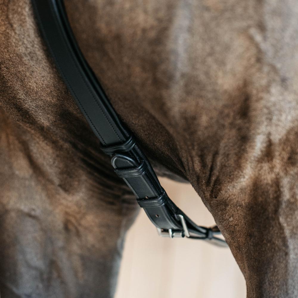 5 Points Breastplate with elastic | Dy'on | Comfort — Image 9