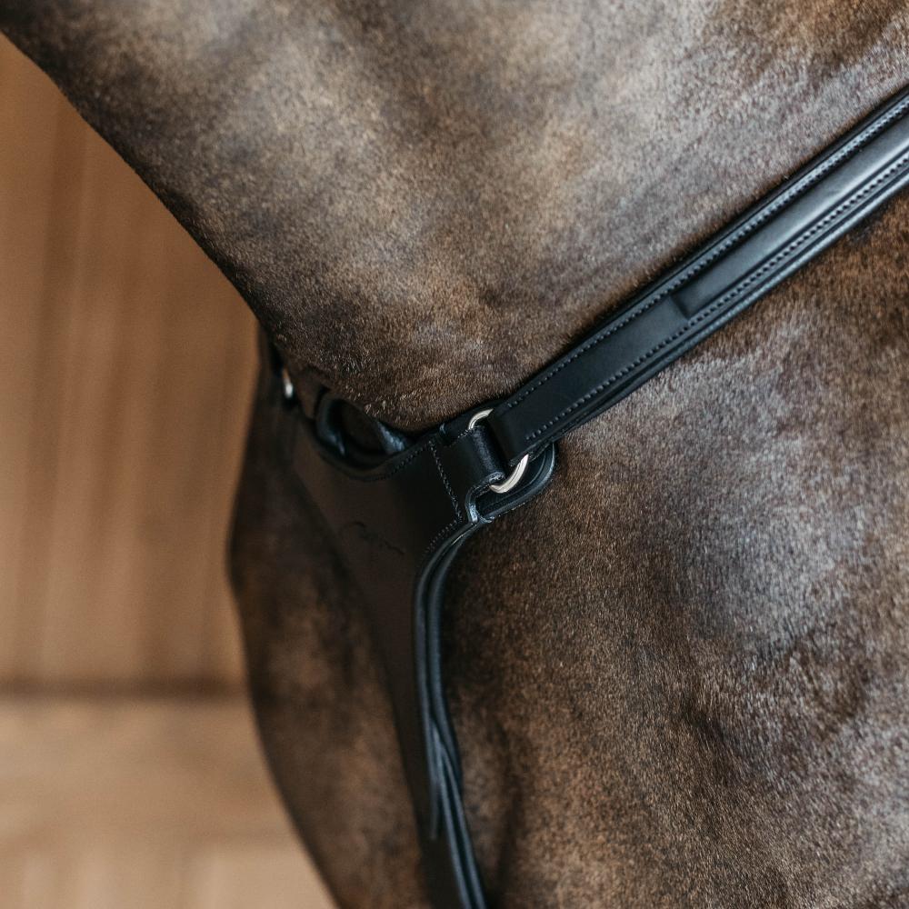 5 Points Breastplate with elastic | Dy'on | Comfort — Image 12