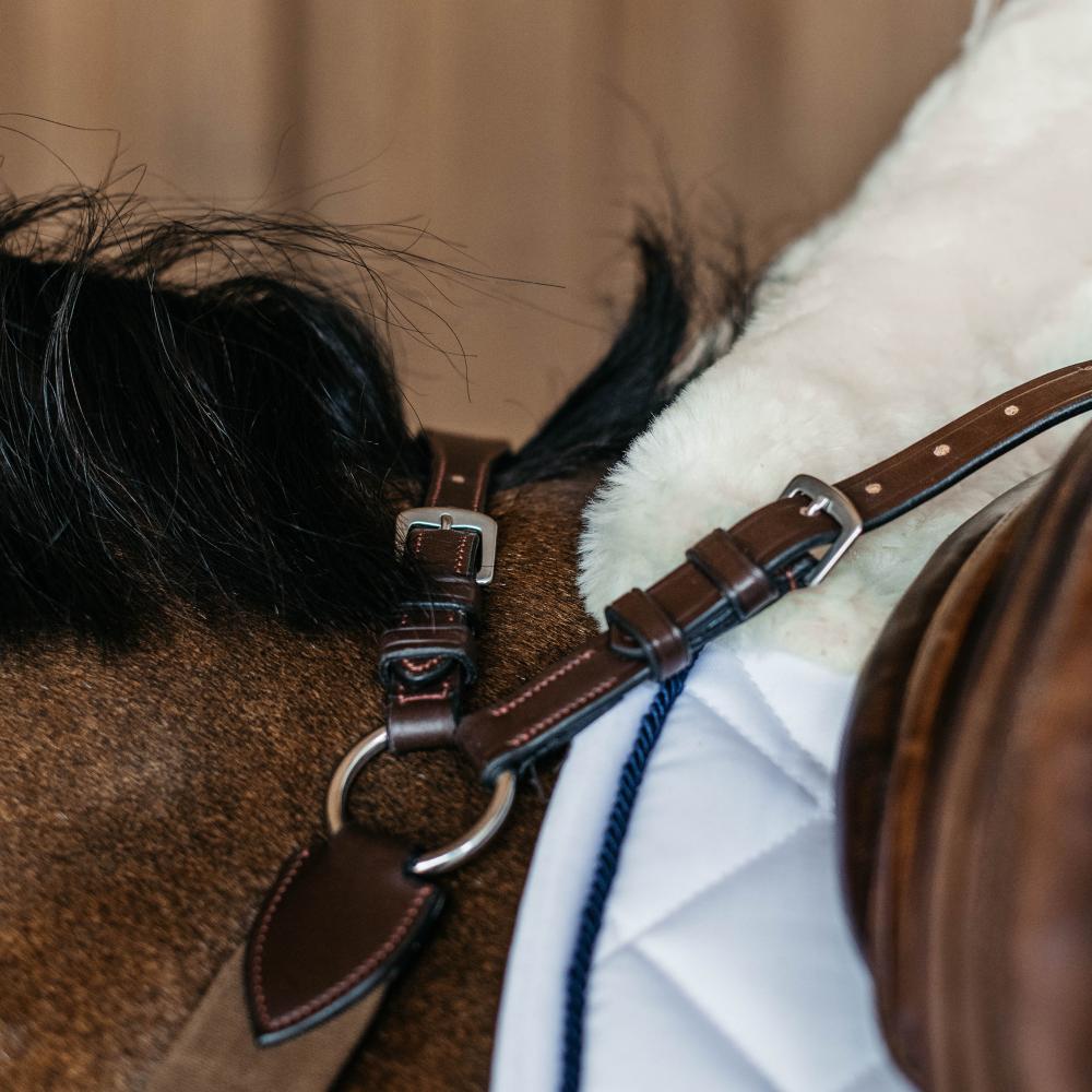 5 Points Breastplate with elastic | Dy'on | Comfort — Image 5