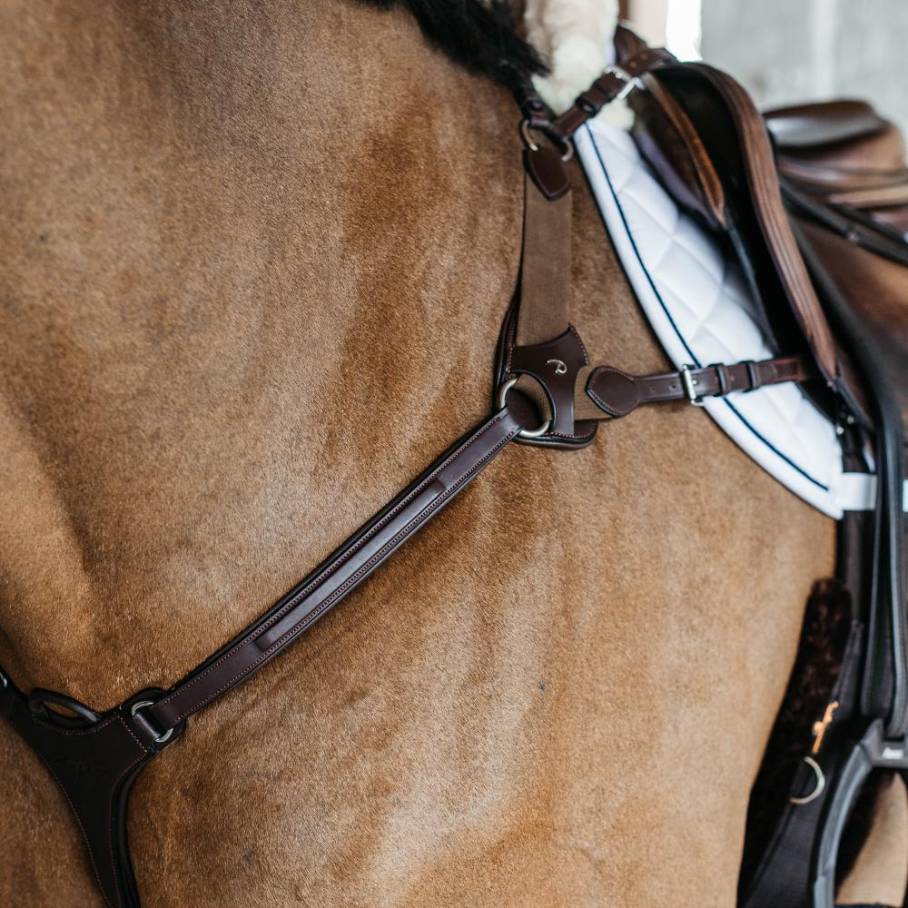5 Points Breastplate with elastic | Dy'on | Comfort — Image 6
