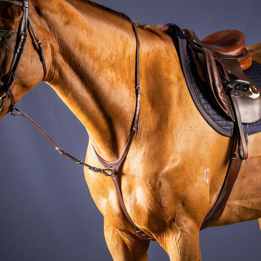 Standing Martingale Attachment | Dy'on | DurableLeather