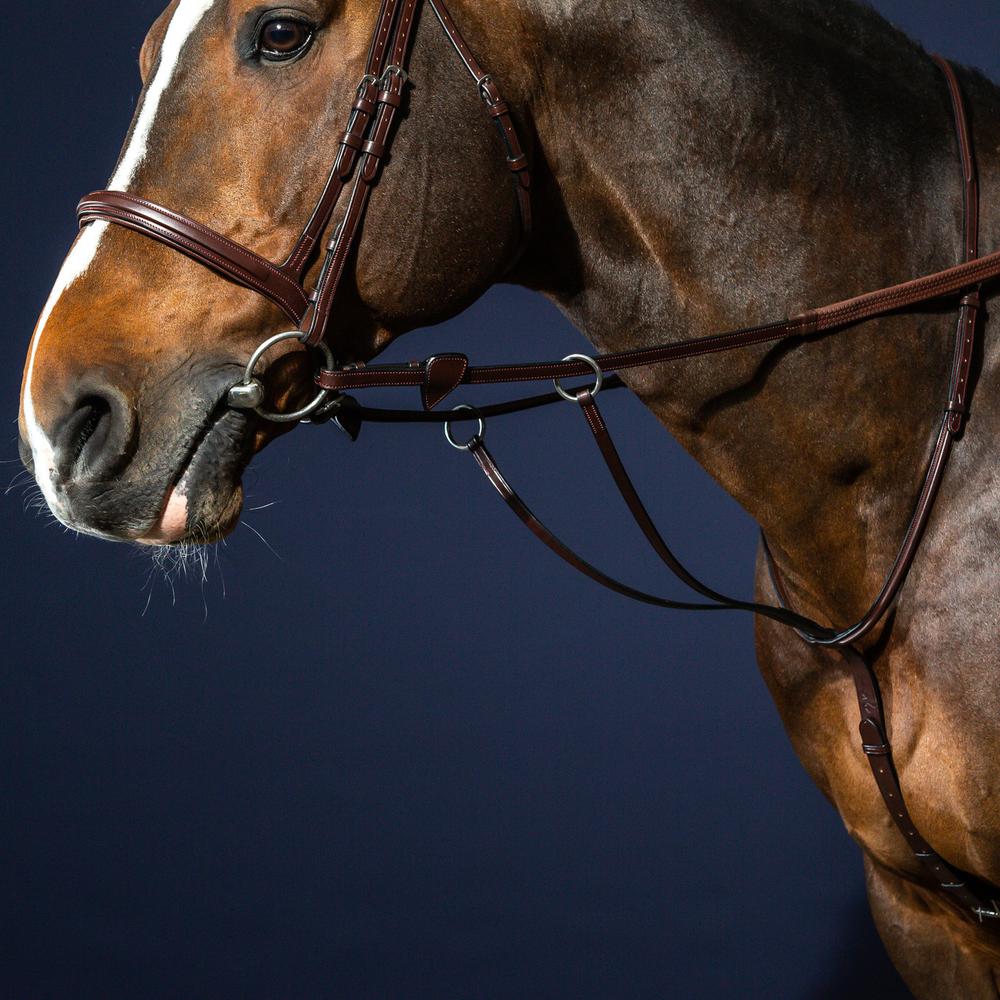 Running Martingale | Dy'on | PremiumLeather