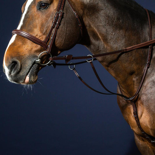 Running Martingale | Dy'on | PremiumLeather
