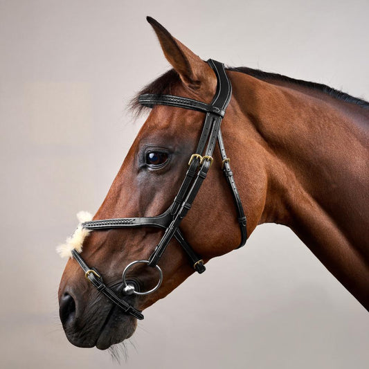 Plaited Figure 8 Noseband Bridle DY |  | elegance
