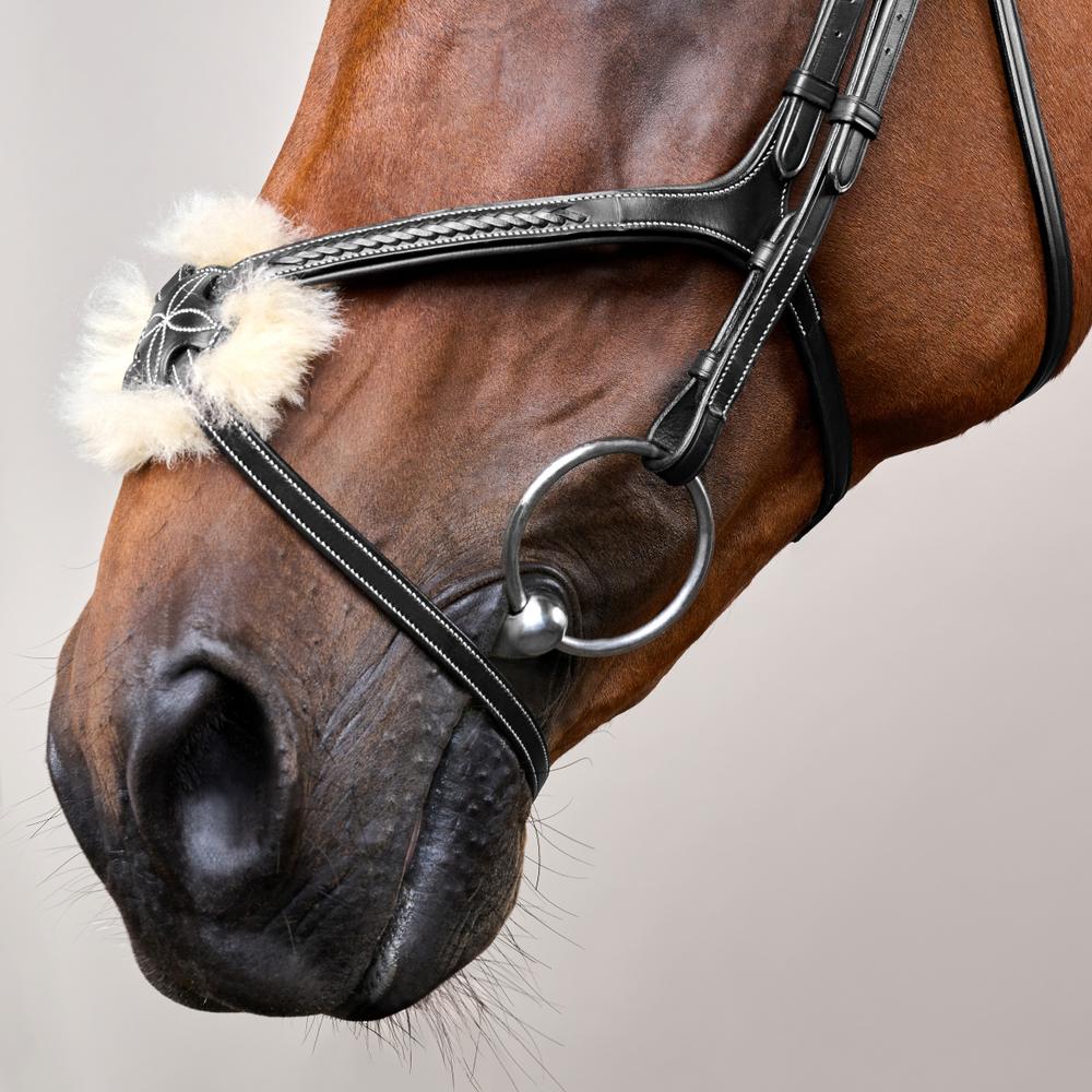 Plaited Figure 8 Noseband Bridle DY |  | elegance — Image 3