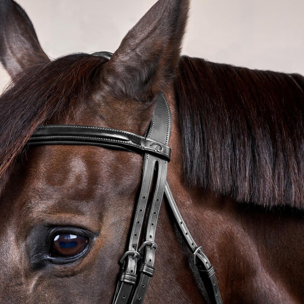 Flash Noseband Bridle NE | Dy'on | Versatile — Image 8