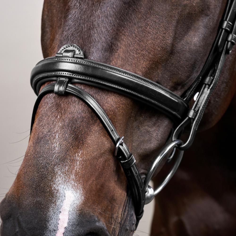 Flash Noseband Bridle NE | Dy'on | Versatile — Image 9