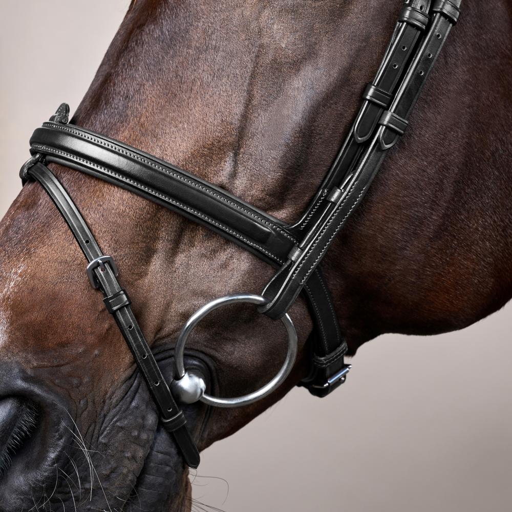 Flash Noseband Bridle NE | Dy'on | Versatile — Image 10