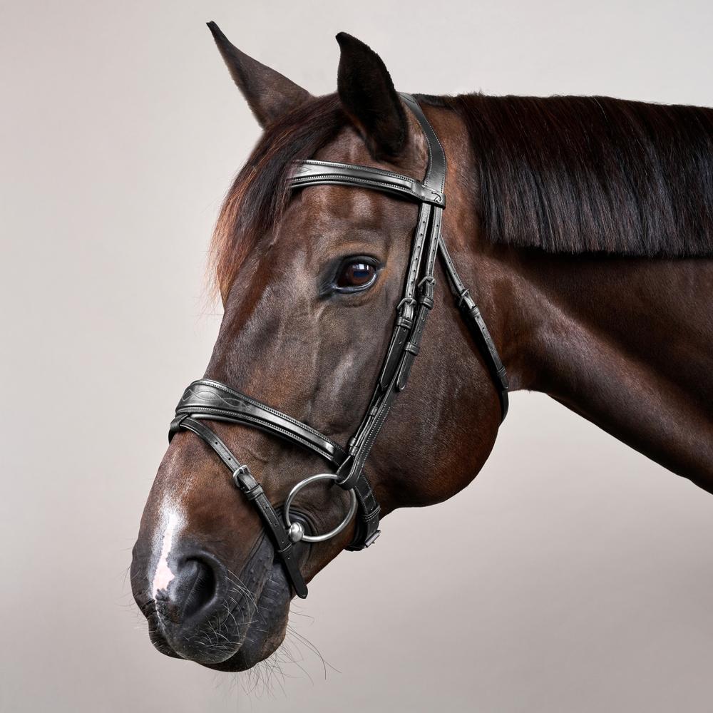 Anatomic Flash Noseband Bridle NE | Dy'on | elegance — Image 2