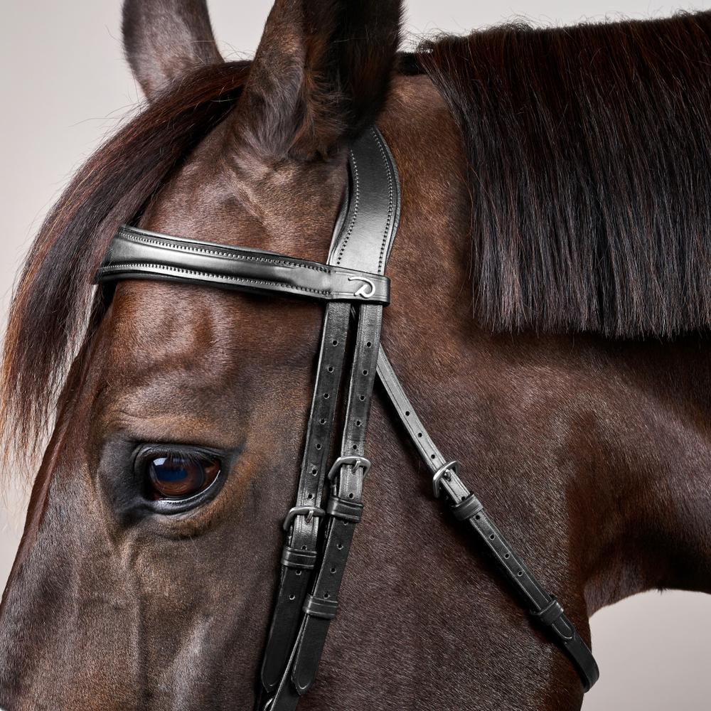 Anatomic Flash Noseband Bridle NE | Dy'on | elegance — Image 3