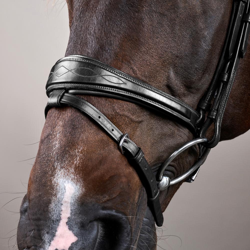 Anatomic Flash Noseband Bridle NE | Dy'on | elegance — Image 4