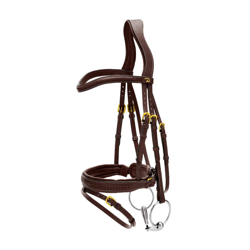 Plaited Flash Noseband Bridle with Pull back DY | Dy'on | elegance