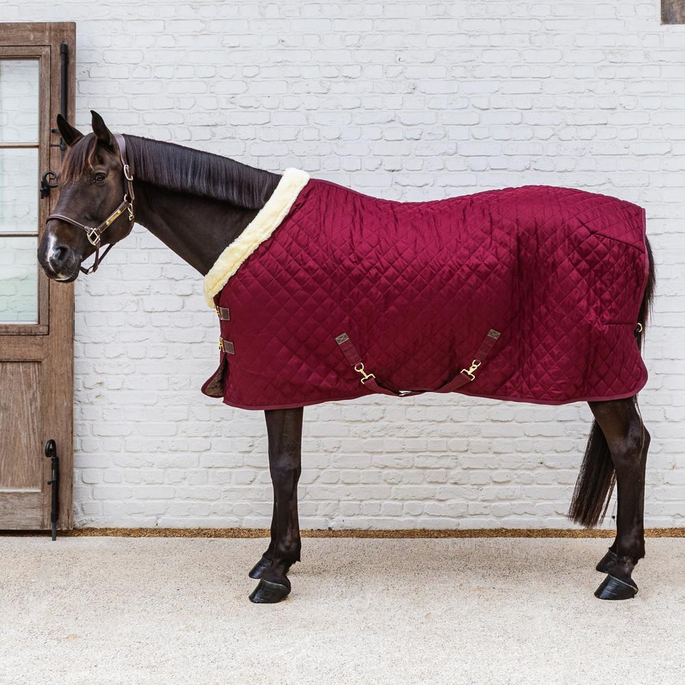 Show Rug | Kentucky Horsewear | Durable — Image 11