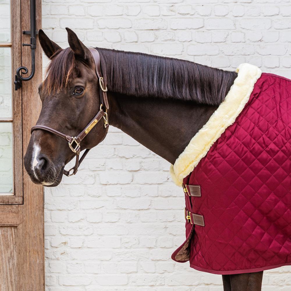 Show Rug | Kentucky Horsewear | Durable — Image 12