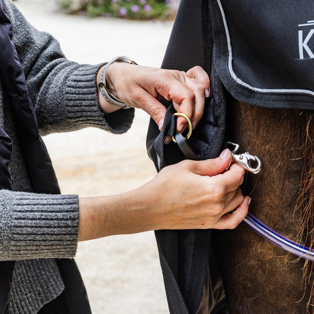 Turnout Rug All Weather Waterproof Comfort | Kentucky Horsewear | Waterproof — Image 2
