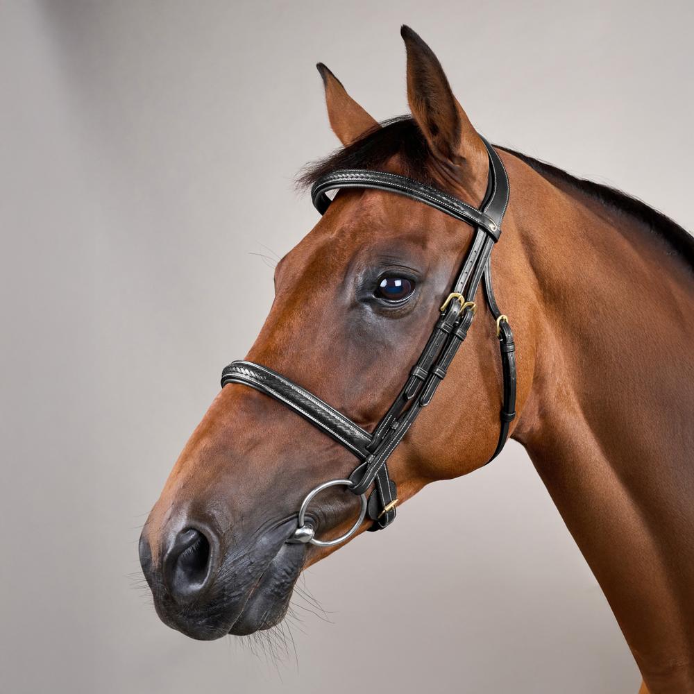 Plaited Noseband Bridle Without Flash DY | Dy'on | Durability — Image 6