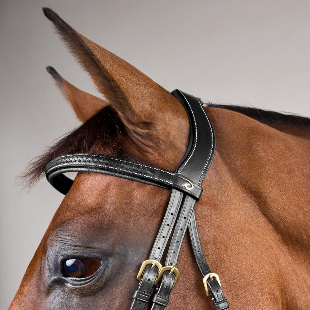 Plaited Noseband Bridle Without Flash DY | Dy'on | Durability — Image 7
