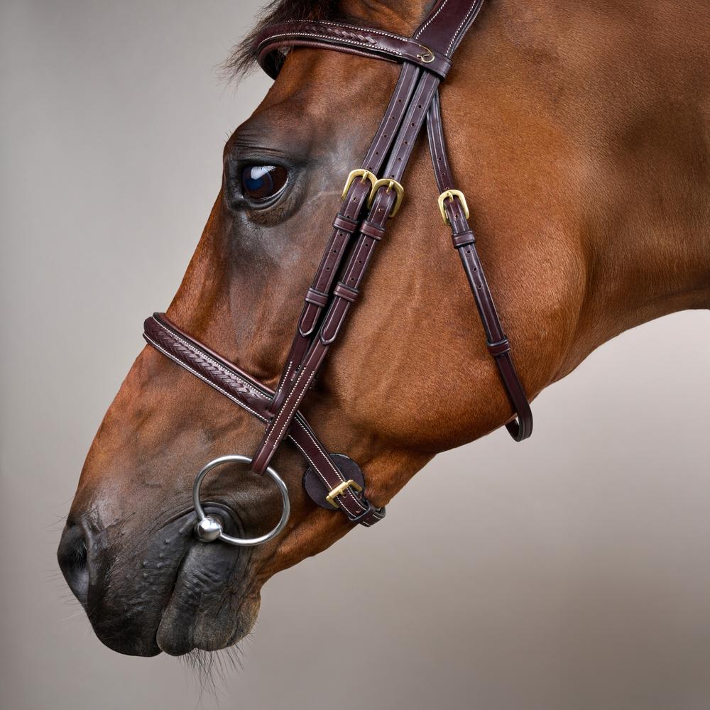 Plaited Noseband Bridle Without Flash DY | Dy'on | Durability — Image 4