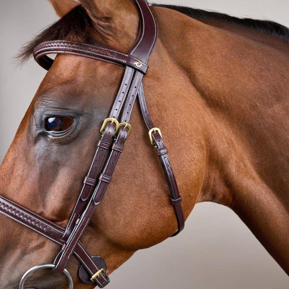 Plaited Noseband Bridle Without Flash DY | Dy'on | Durability — Image 3