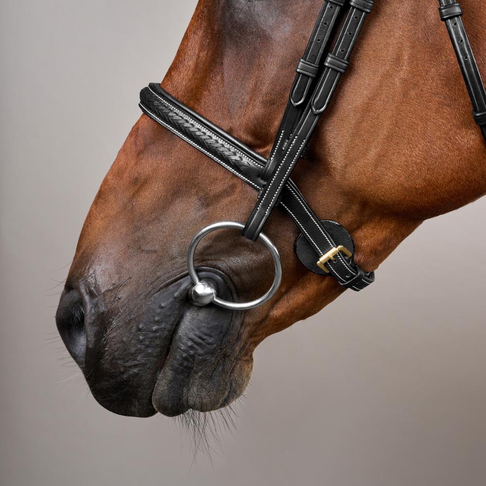 Plaited Noseband Bridle Without Flash DY | Dy'on | Durability — Image 8