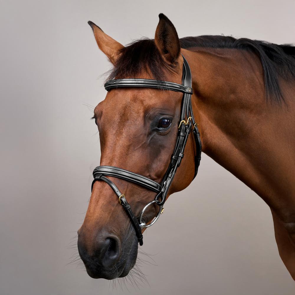 Flash Noseband Bridle DY | Dy'on | Durability — Image 8