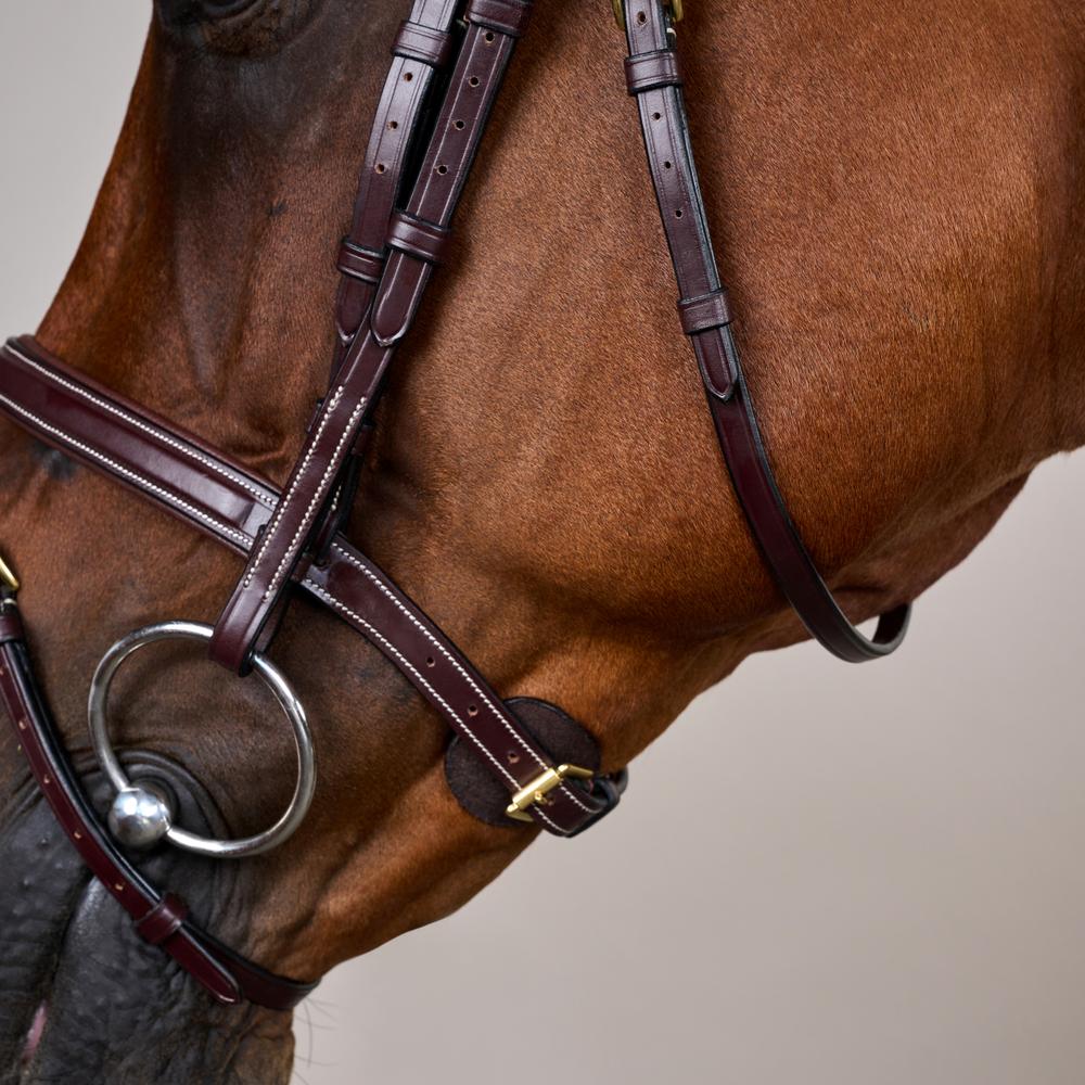 Flash Noseband Bridle DY | Dy'on | Durability — Image 6