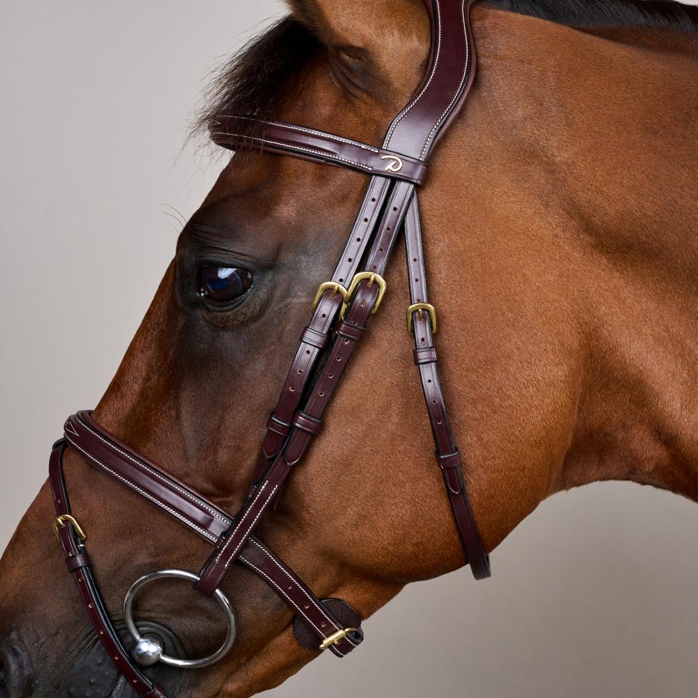 Flash Noseband Bridle DY | Dy'on | Durability — Image 3