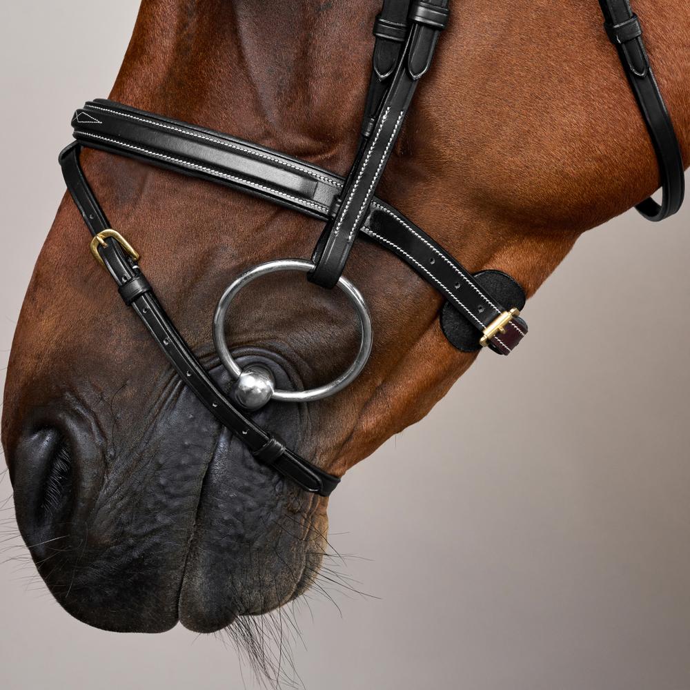 Flash Noseband Bridle DY | Dy'on | Durability — Image 10