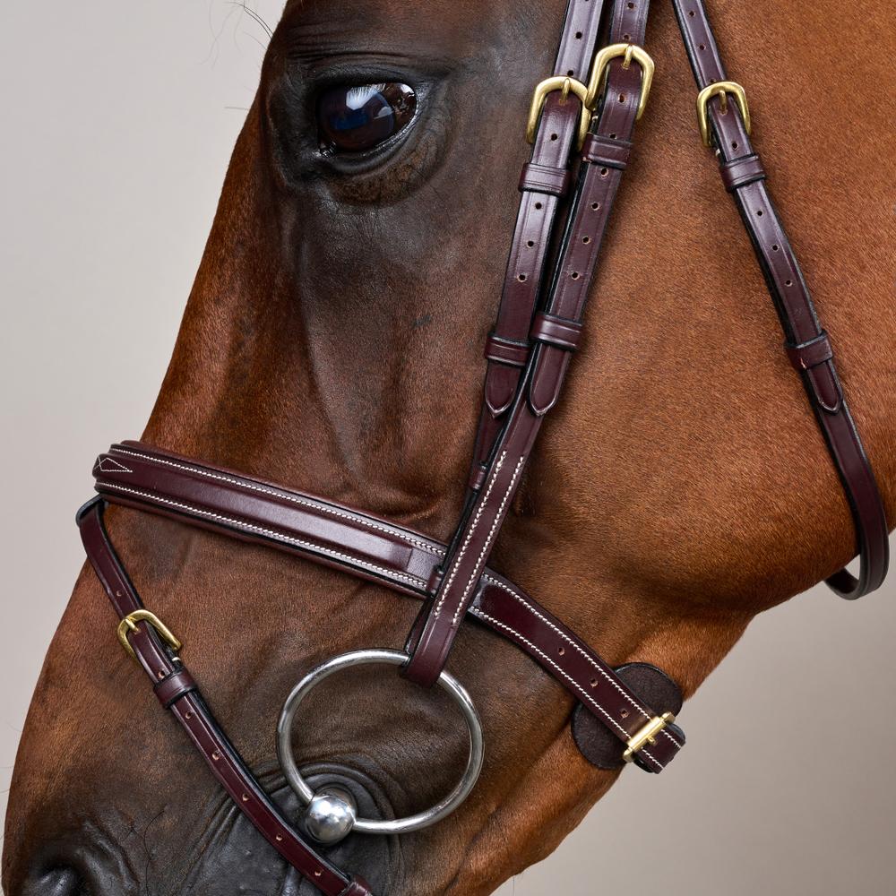 Flash Noseband Bridle DY | Dy'on | Durability — Image 4