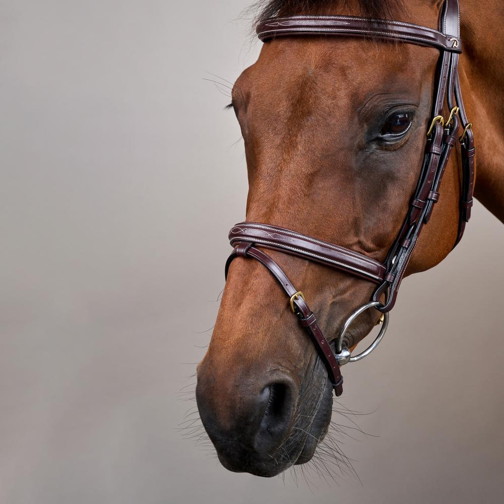 Flash Noseband Bridle DY | Dy'on | Durability — Image 5