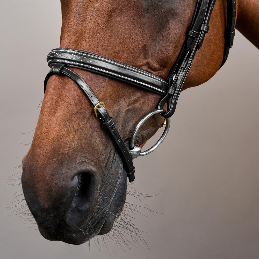 Flash Noseband Bridle DY | Dy'on | Durability — Image 11