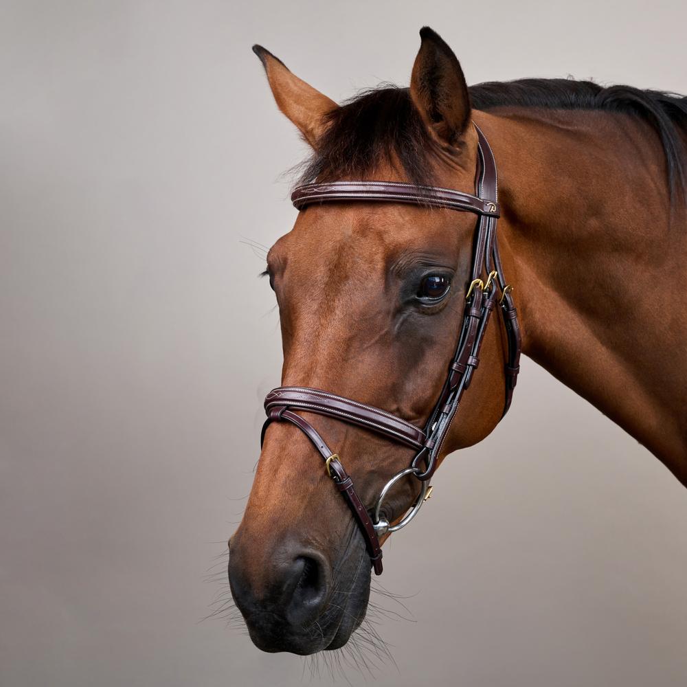 Flash Noseband Bridle DY | Dy'on | Durability — Image 2