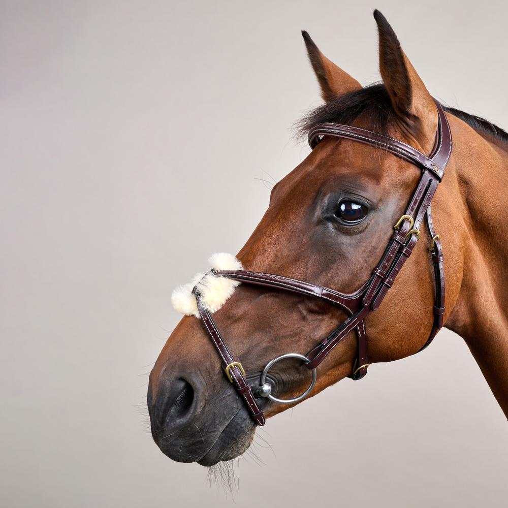Figure 8 Noseband Bridle DY | Dy'on | Control — Image 4