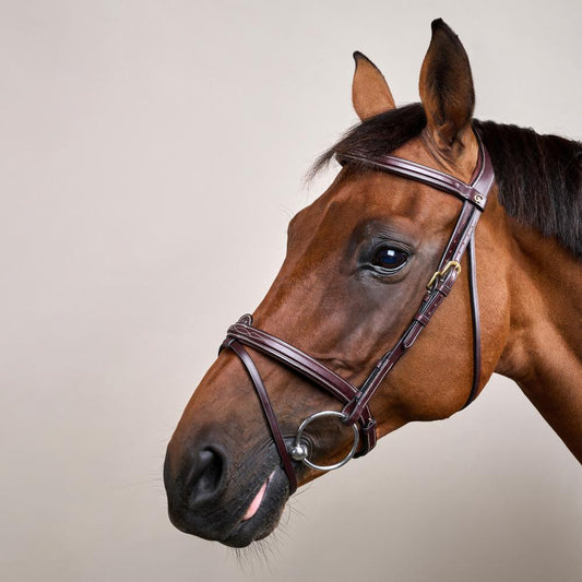 Flash Noseband Bridle DY | Dy'on | Versatile — Image 2