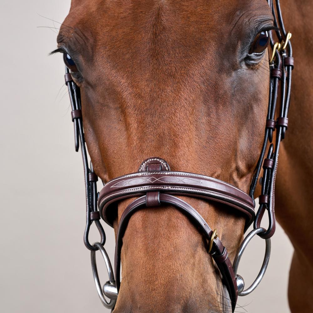 Flash Noseband Bridle DY | Dy'on | Versatile — Image 3