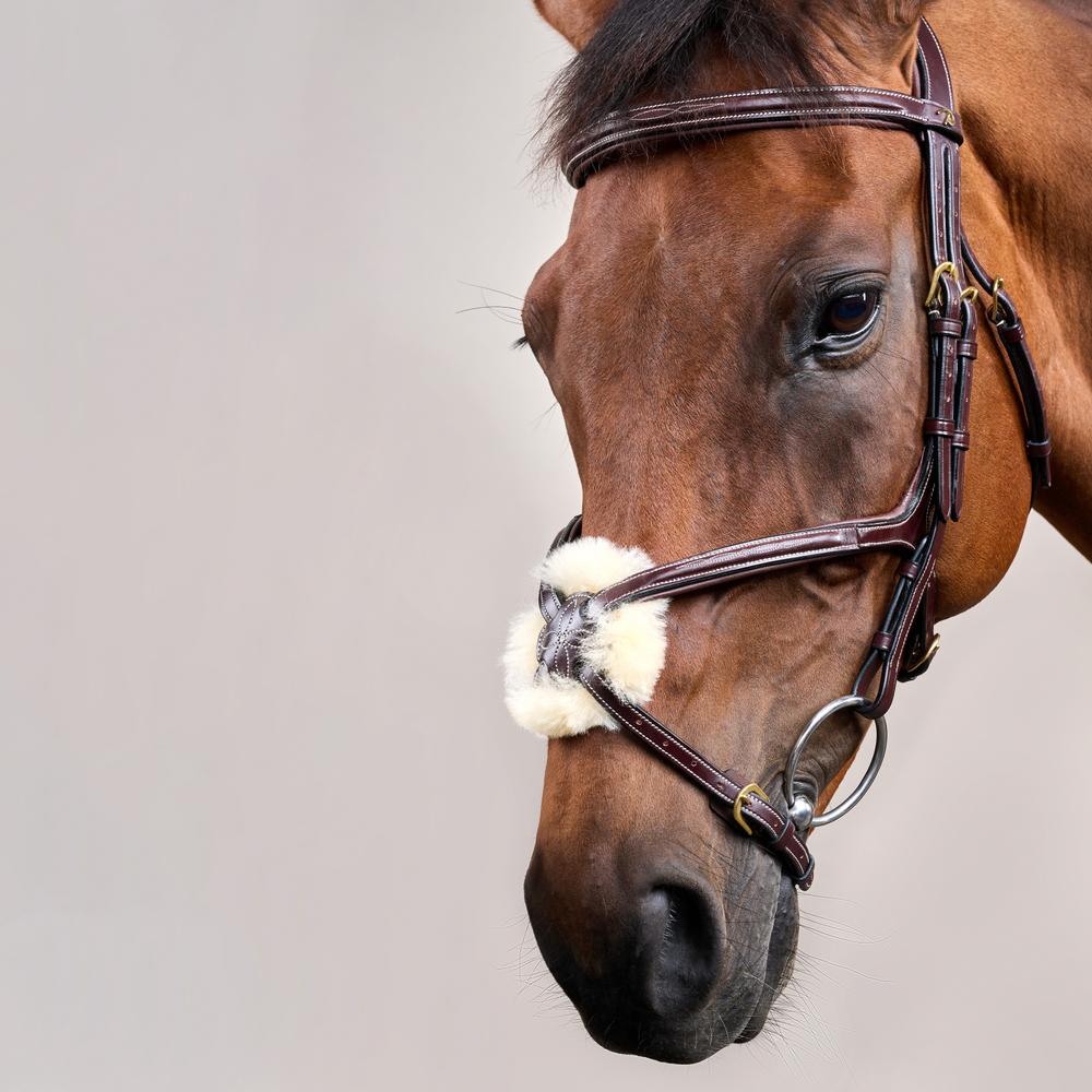 Figure 8 Noseband Bridle DY | Dy'on | Control — Image 6