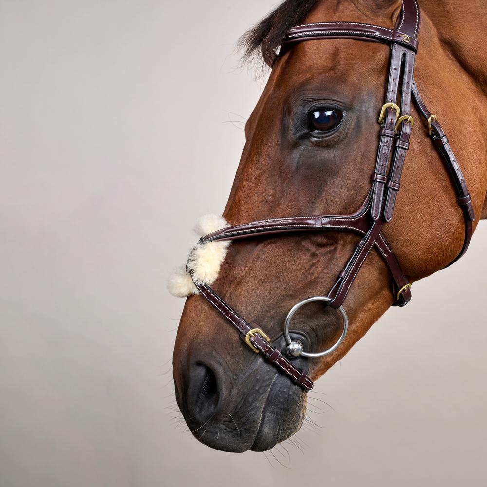 Figure 8 Noseband Bridle DY | Dy'on | Control — Image 2