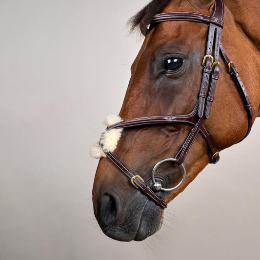 Figure 8 Noseband Bridle DY | Dy'on | Control — Image 2