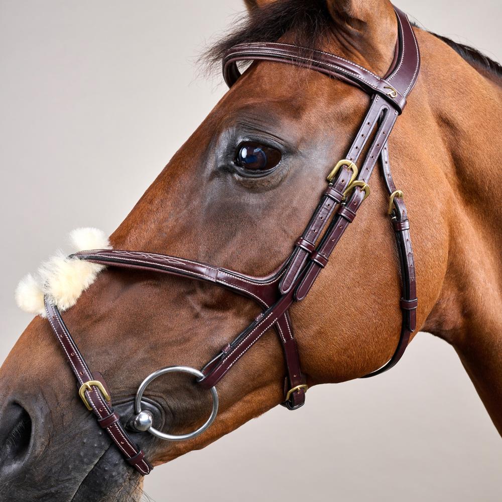 Figure 8 Noseband Bridle DY | Dy'on | Control — Image 5