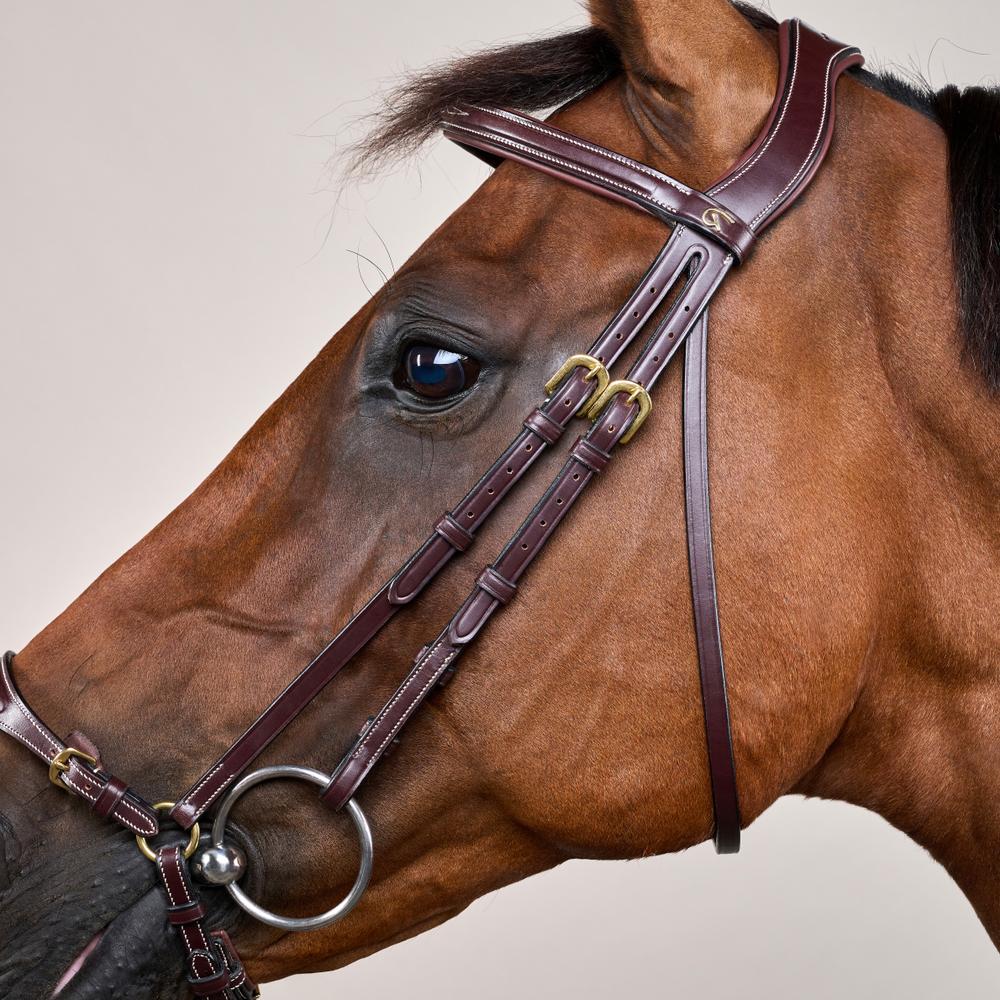 Adjustable Drop Noseband Bridle DY | Dy'on | Adjustable — Image 9