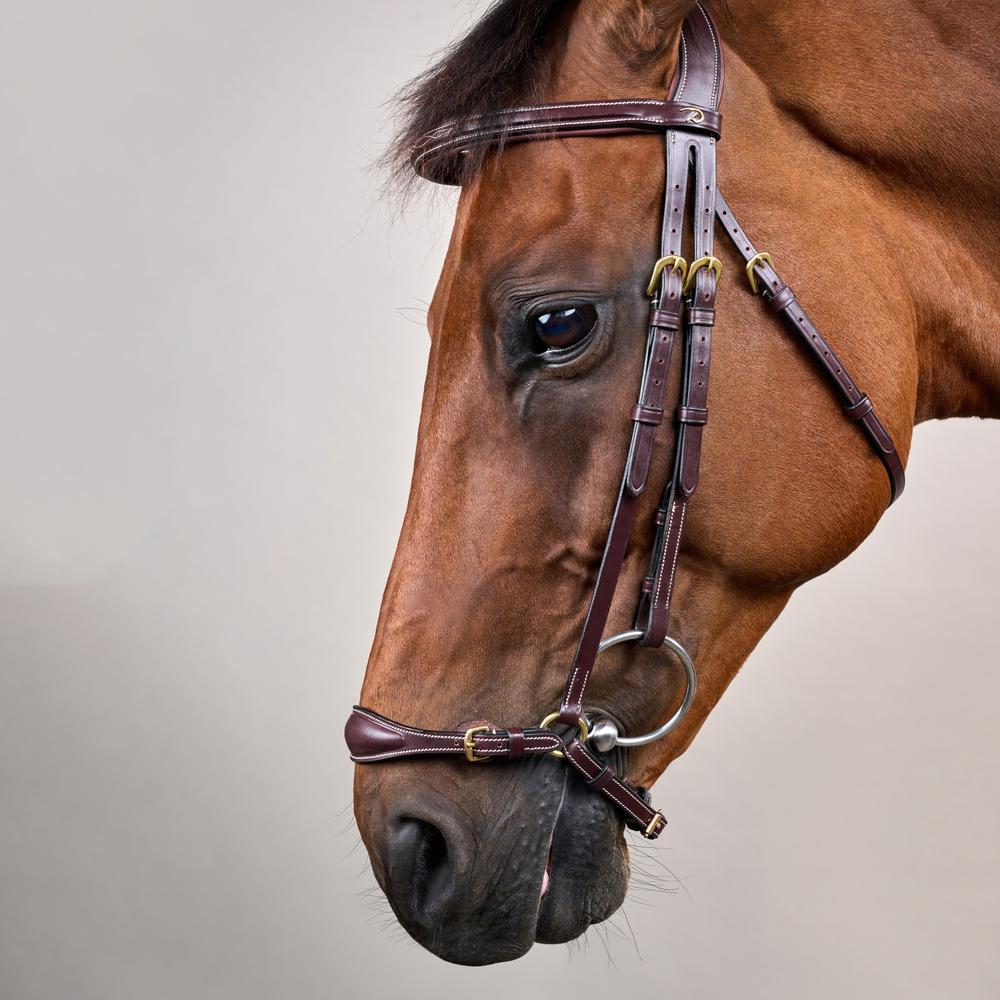 Adjustable Drop Noseband Bridle DY | Dy'on | Adjustable — Image 7