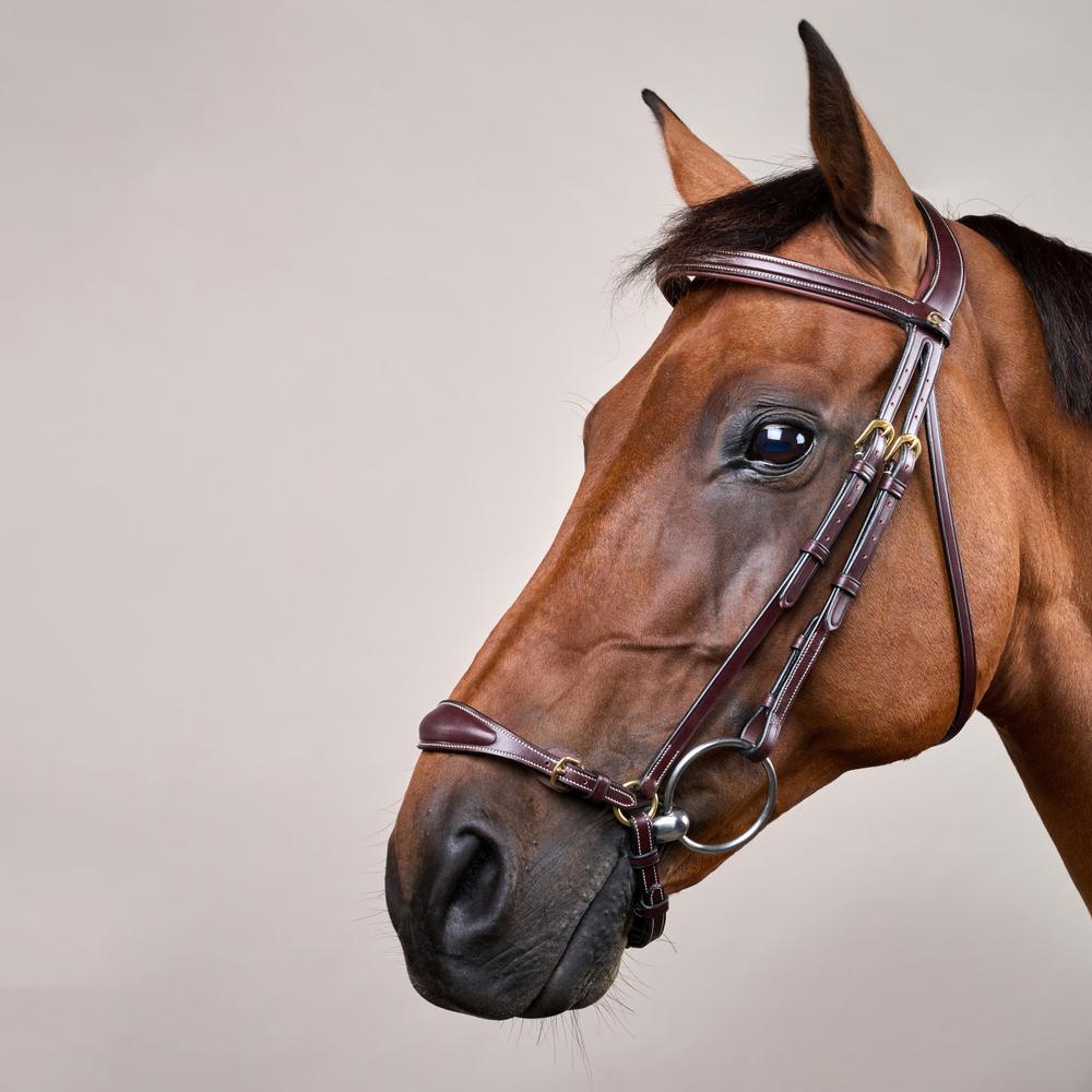 Adjustable Drop Noseband Bridle DY | Dy'on | Adjustable — Image 8