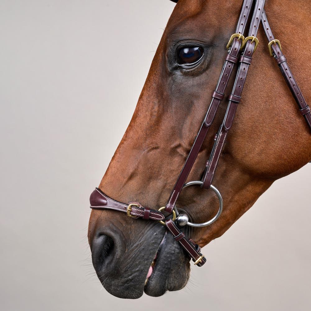 Adjustable Drop Noseband Bridle DY | Dy'on | Adjustable — Image 6