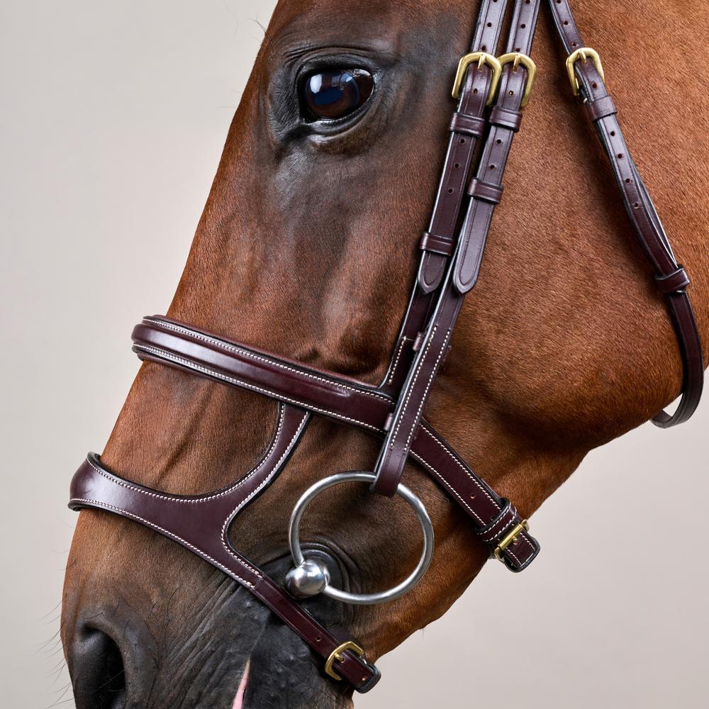 Double Noseband Bridle DY | Dy'on | control — Image 8