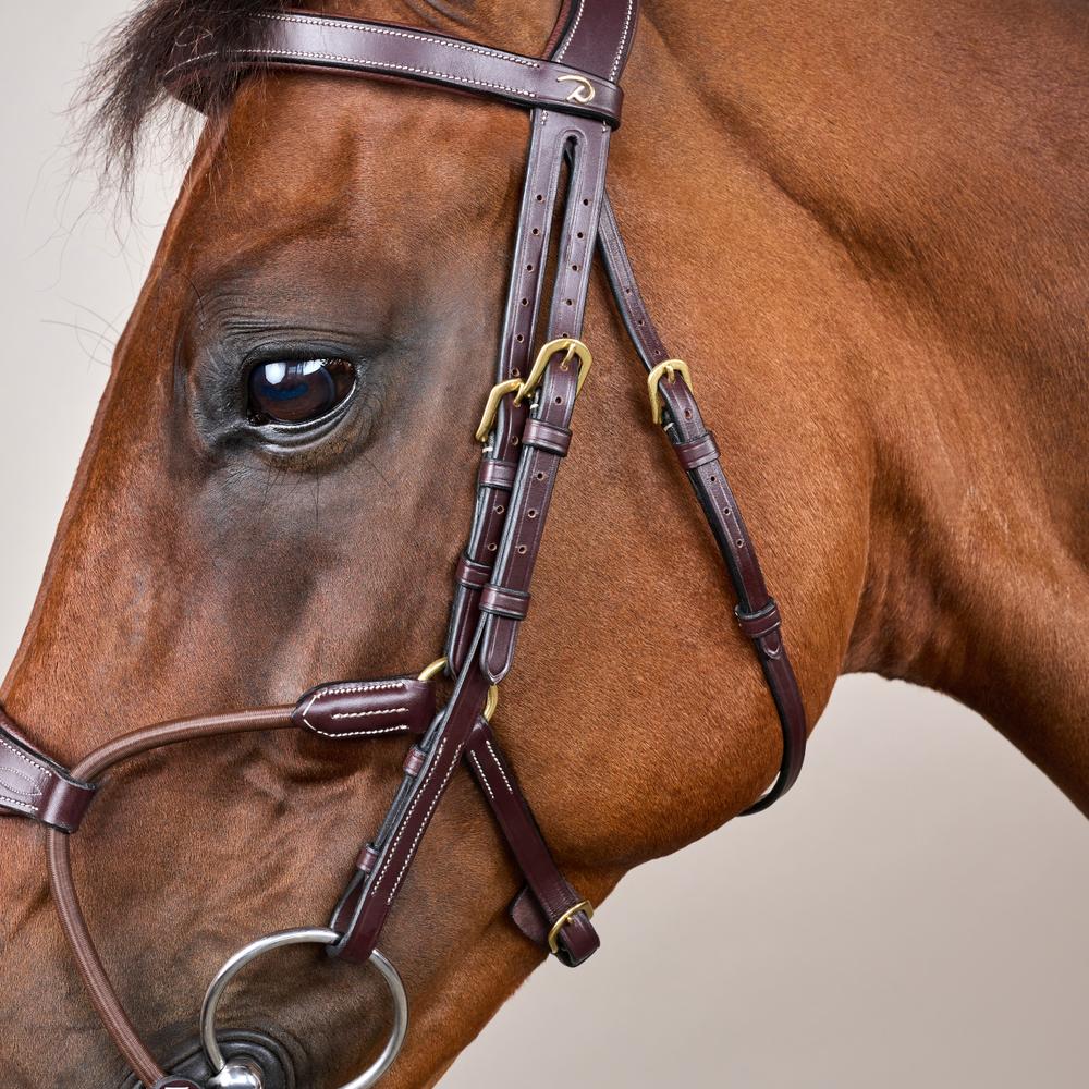 Elastic Hybrid Noseband Bridle DY |  | Durable — Image 7